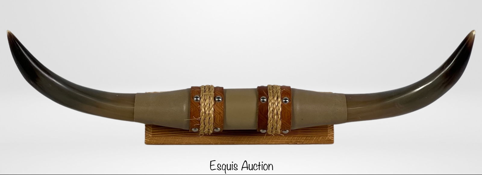 Texas Longhorn Steer Horns Mounted on Wood Base (1 of 5)