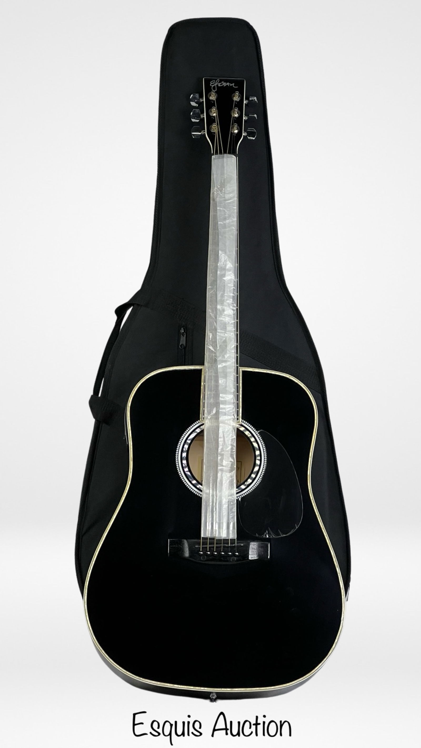 Esteban American Legacy  Acoustic Electric Guitar (1 of 5)