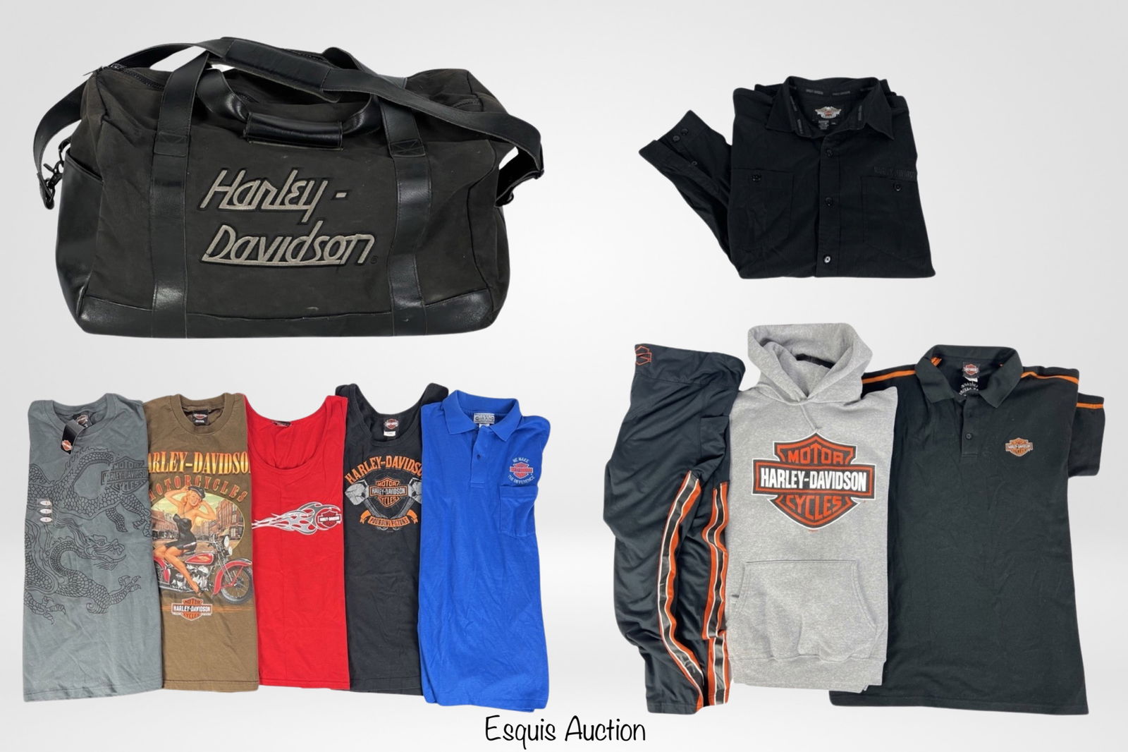 Harley Davidson Biker T-Shirts, Hoodie, Duffle Bag (1 of 8)