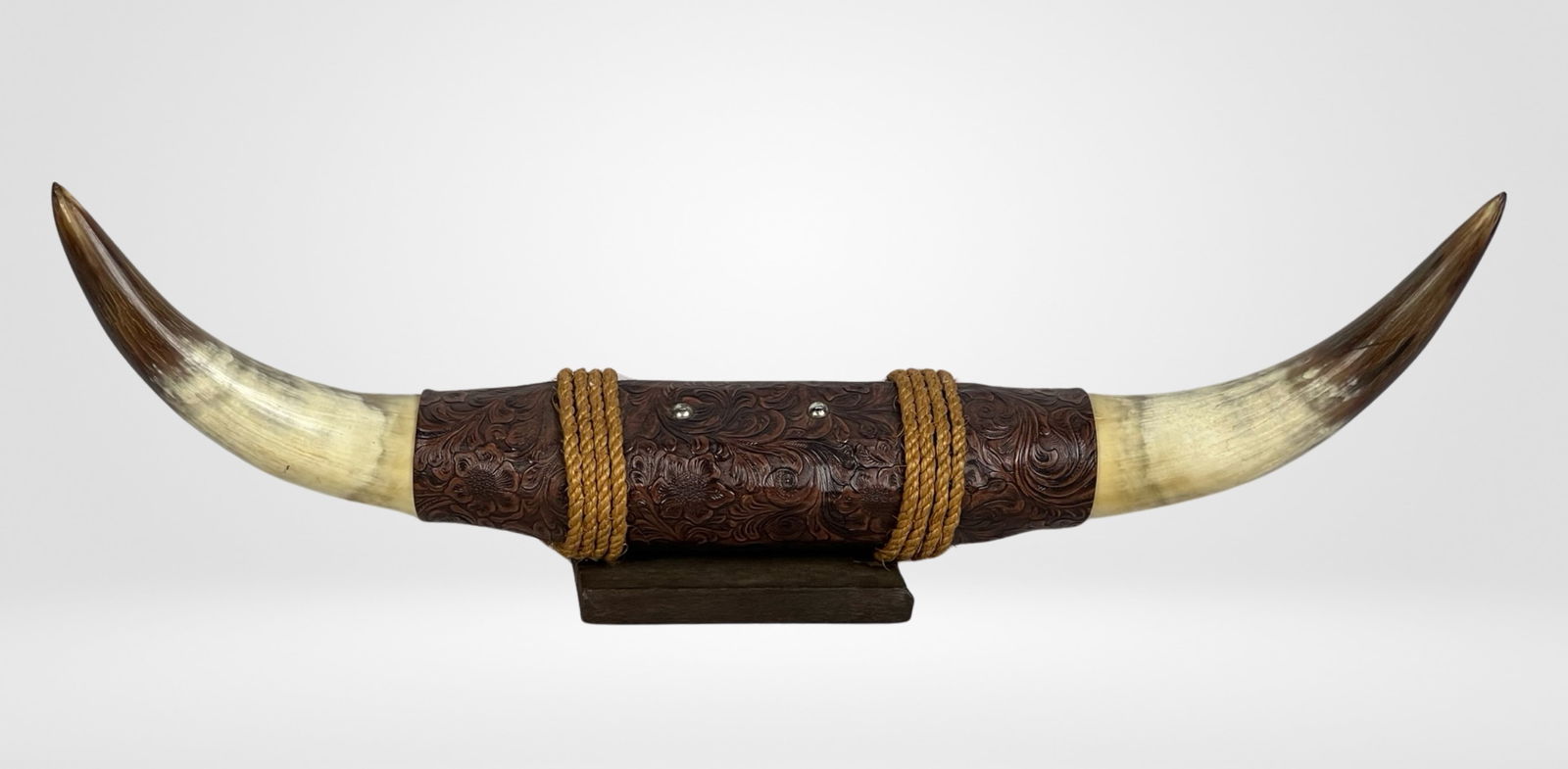 Texas Longhorn Steer Horns Mounted on Wood Base (1 of 3)