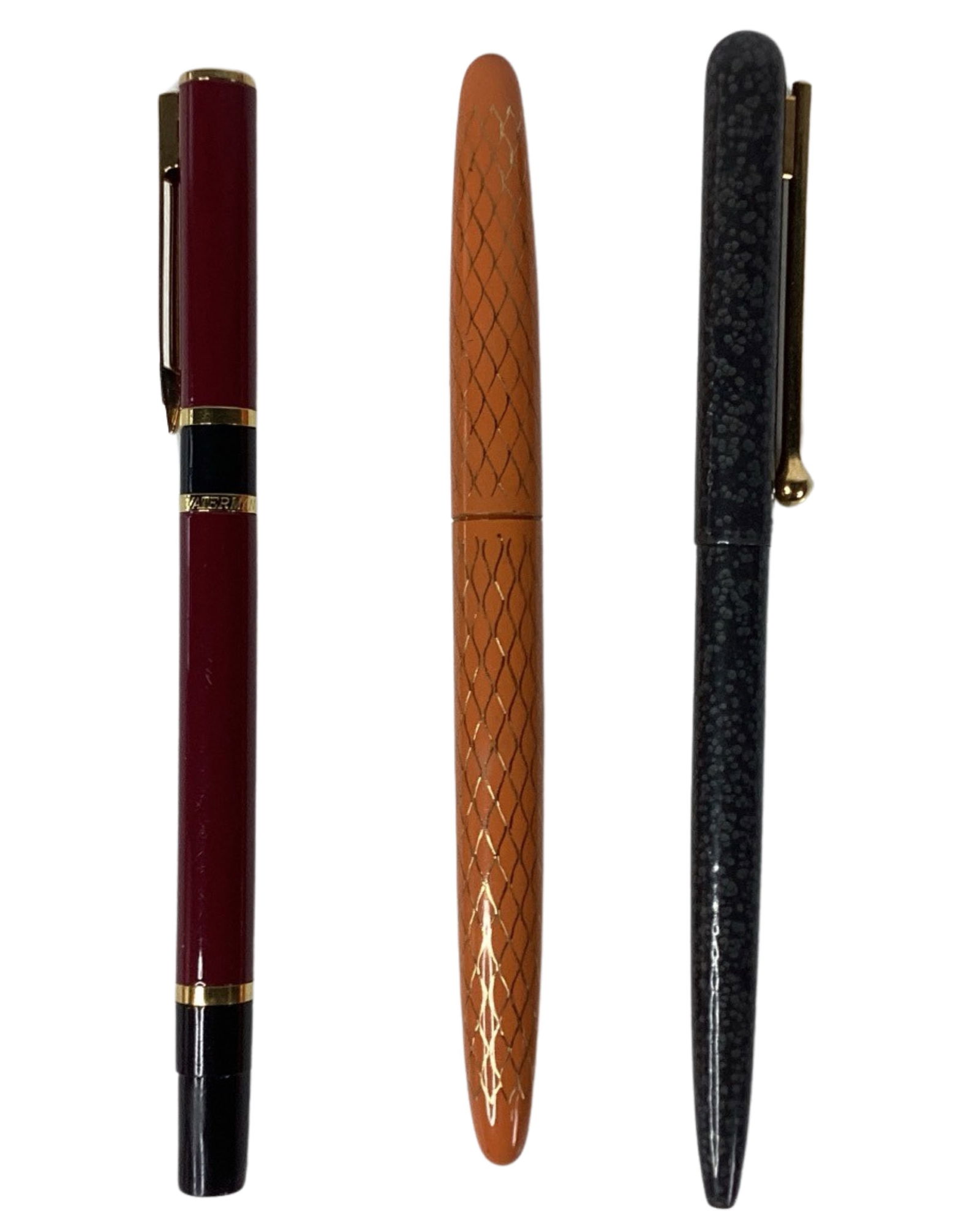Weareve Fountain Pen & Waterman France Pens (1 of 5)