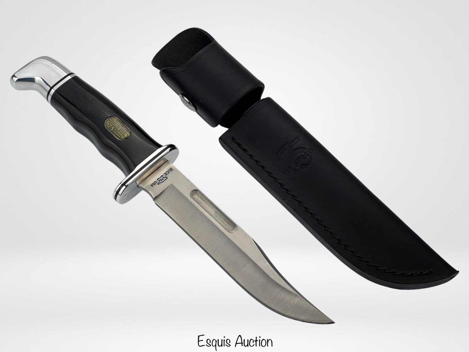 1977 Buck 119 75th Anniversary Hunting Knife (1 of 3)