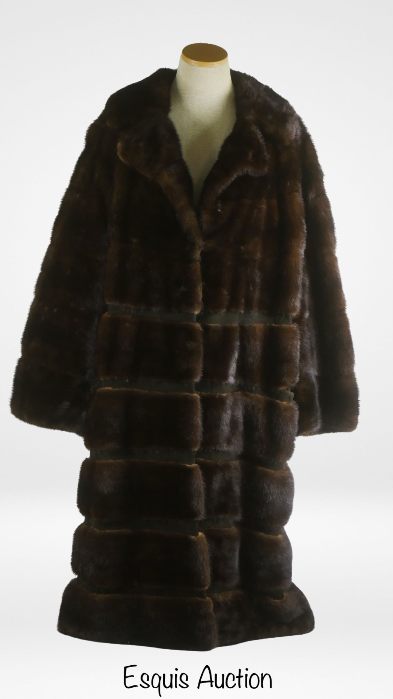 Ben Rosembaum, Chicago Genuine Mink Lady's Coat (1 of 6)