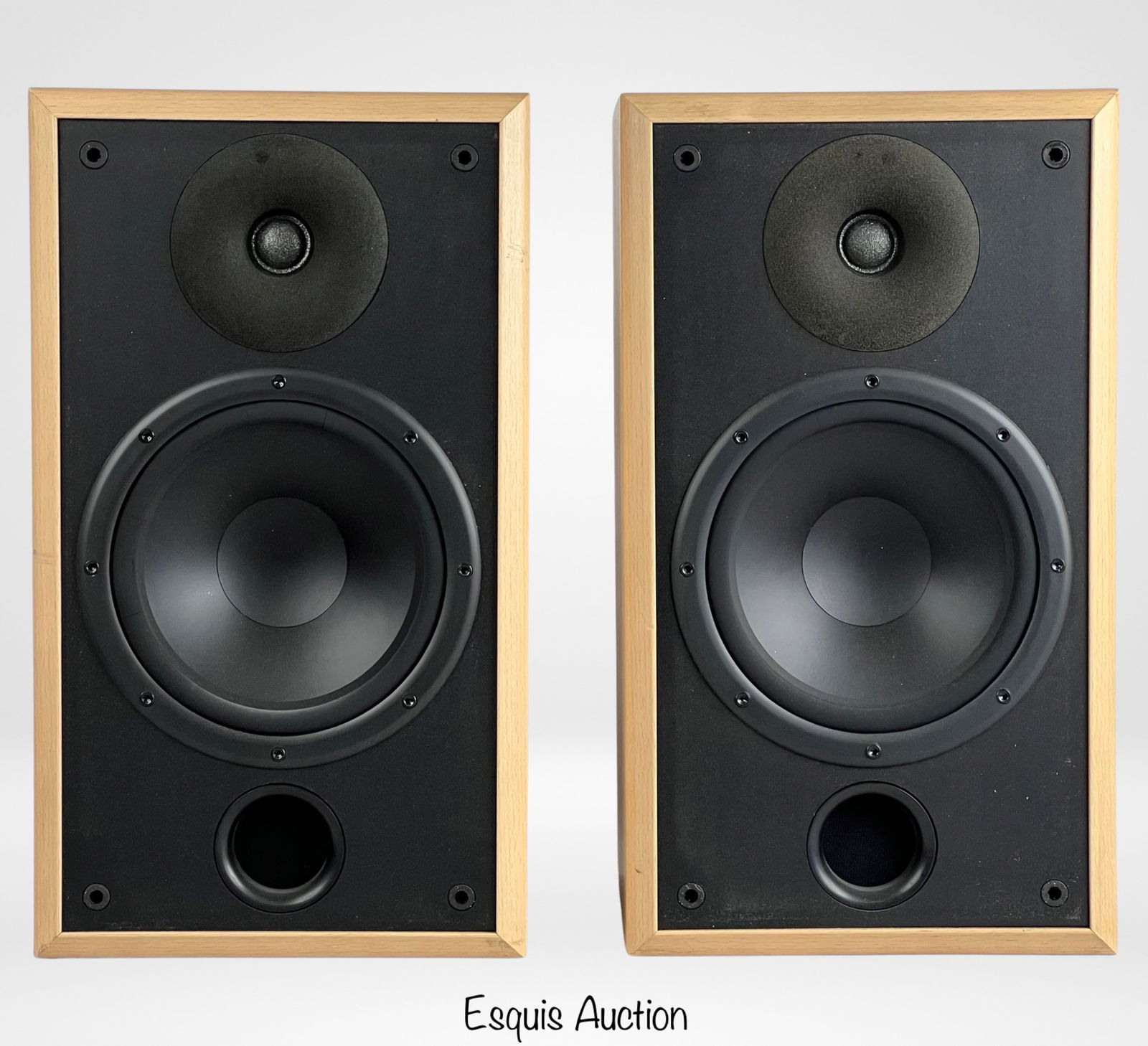 Audiophile Acoustic Research AR 208 HO Speakers (1 of 4)