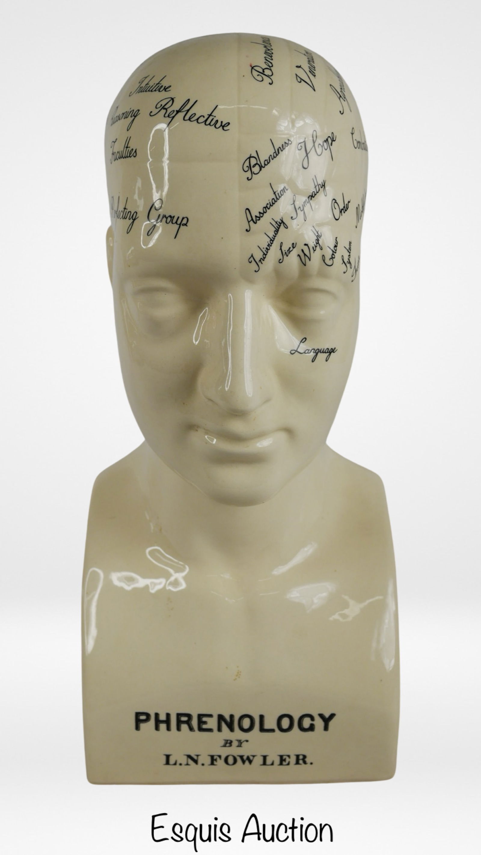 L. N. Fowler Phrenology Ceramic Bust (1 of 4)