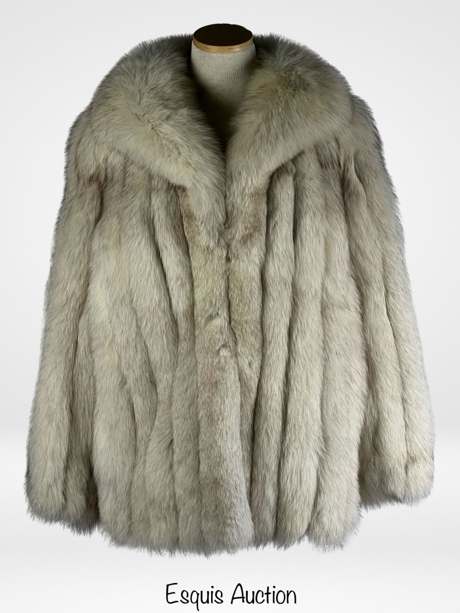 Vintage Lady's Genuine Fox Fur Coat Marshall Field (1 of 5)