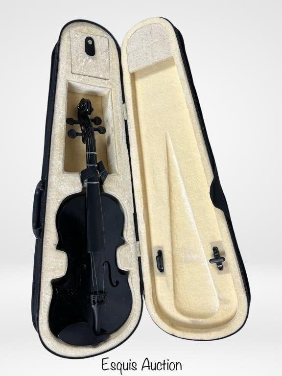Black Violin in Case: Black Violin in Case- 1/2 Size. 20" long. Normal wear.