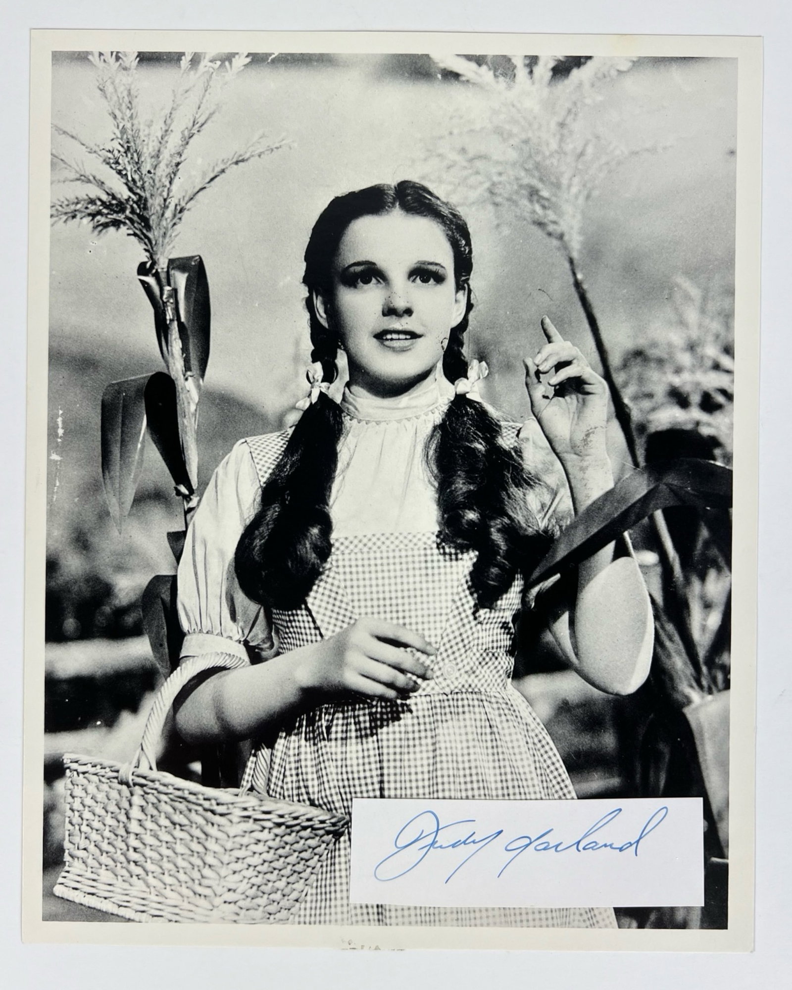 Judy Garland Autograph w/ Wizard of Oz Photo: Capture the magic of "The Wizard of Oz" with this Judy Garland Autograph paired with an iconic 8" x 10" photograph. The legendary Judy Garland, known for her unforgettable portrayal of Dorothy in the 