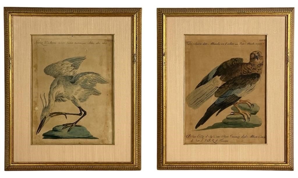 Saverio Manetti Two Antique Ornitology Lithographs (1 of 3)