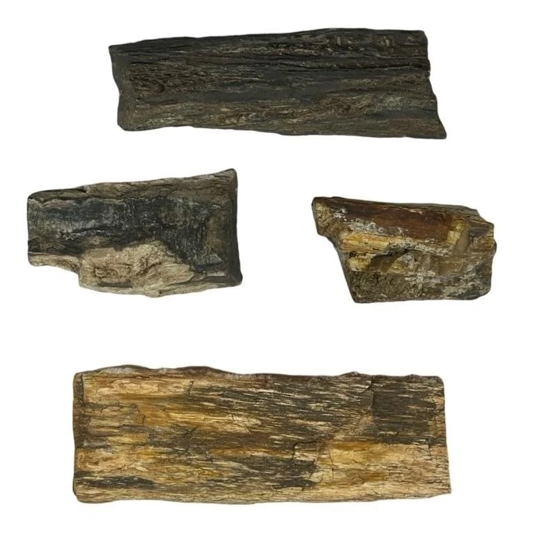 Lot of Ancient Petrified Wood Logs/ Speciments (1 of 2)