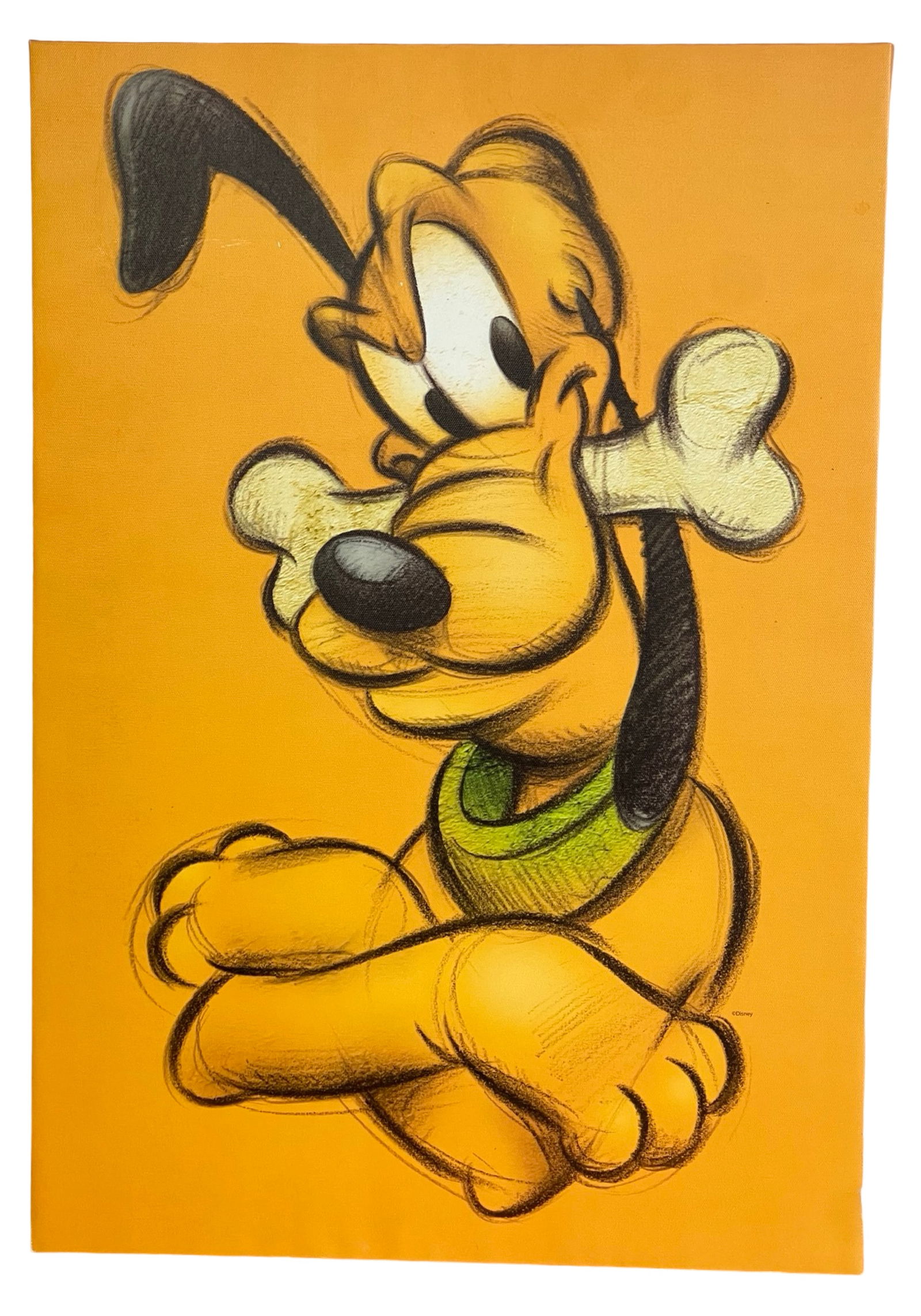 Walt Disney's "Pluto" Canvas Art: This vibrant canvas art titled "Pluto" features the beloved Disney character Pluto in a playful pose, holding a bone in his mouth. The artwork is rendered with a warm orange background that beautifull