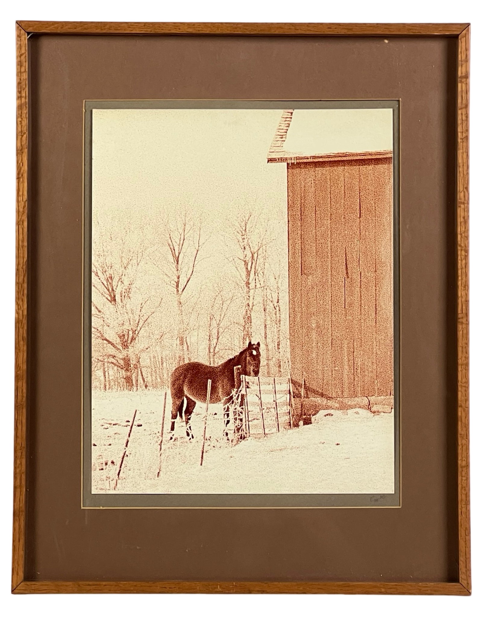 Contemporary Art Photograph - "Horse by the Barn": Discover a charming contemporary art photograph titled "Horse by the Barn" by the artist Cox. The image captures a serene winter scene with a horse standing beside a rustic barn, surrounded by a snowy