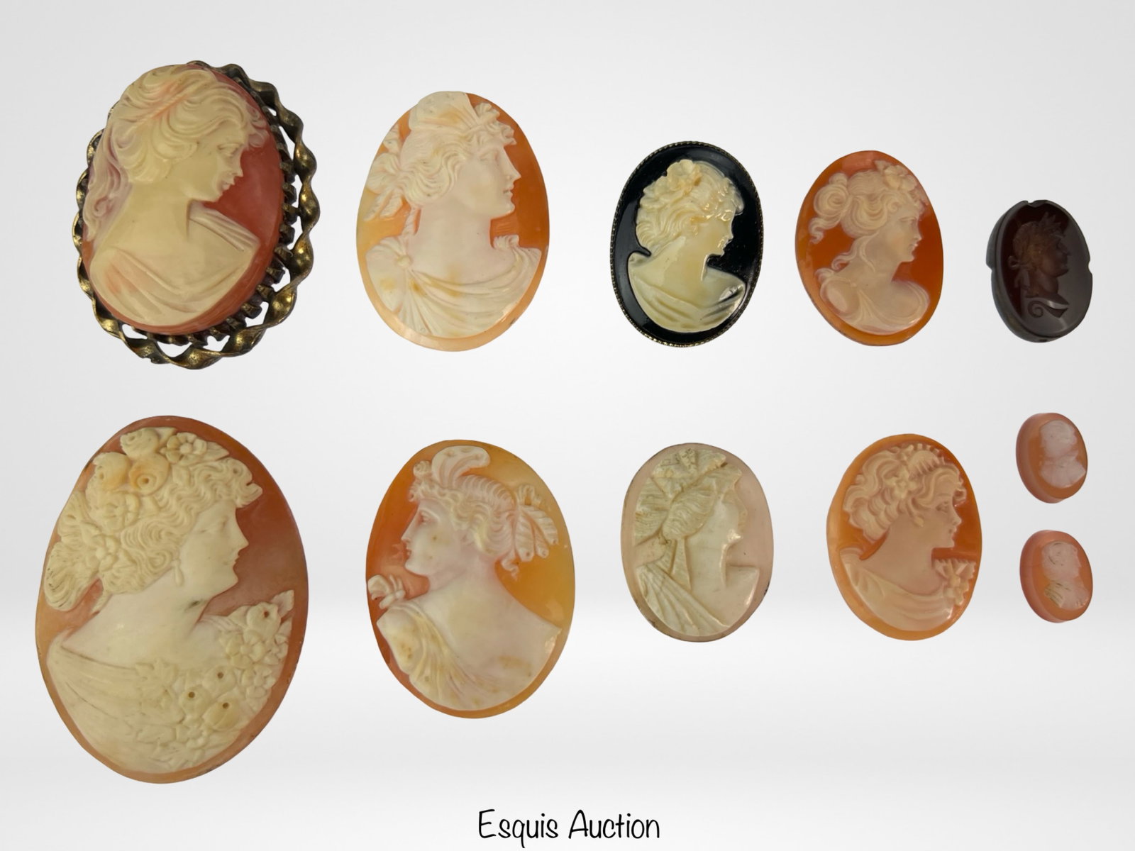 Victorian & Edwardian Shell Cameos: Group of mostly Victorian & Edwardian Shell Cameos with one Glass Cameo. Largest is 2" x 1 1/2".