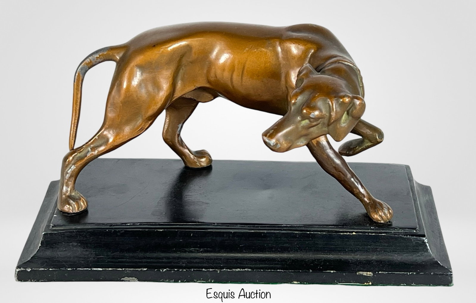 Whippet/ Greyhound Dog Sculpture: Earlier 20th Century Desktop Whippet/Greyhound Dog Sculpture inspired by the original work of Pierre-Jules M?ne. This elegant piece is crafted from painted spelter metal, showcasing a detailed and lif