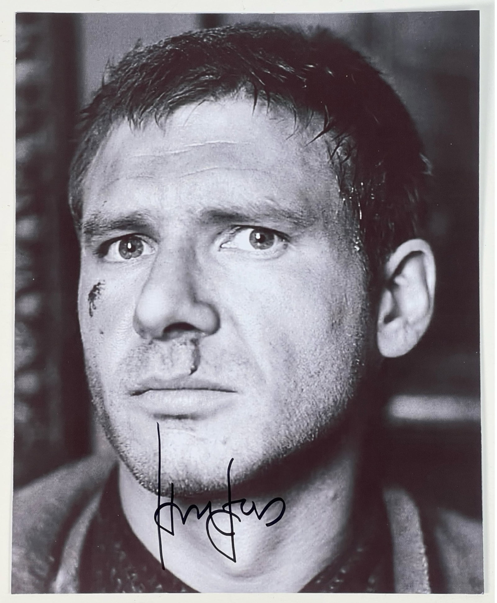Harrison Ford Autographed/ Signed Photograph (1 of 3)