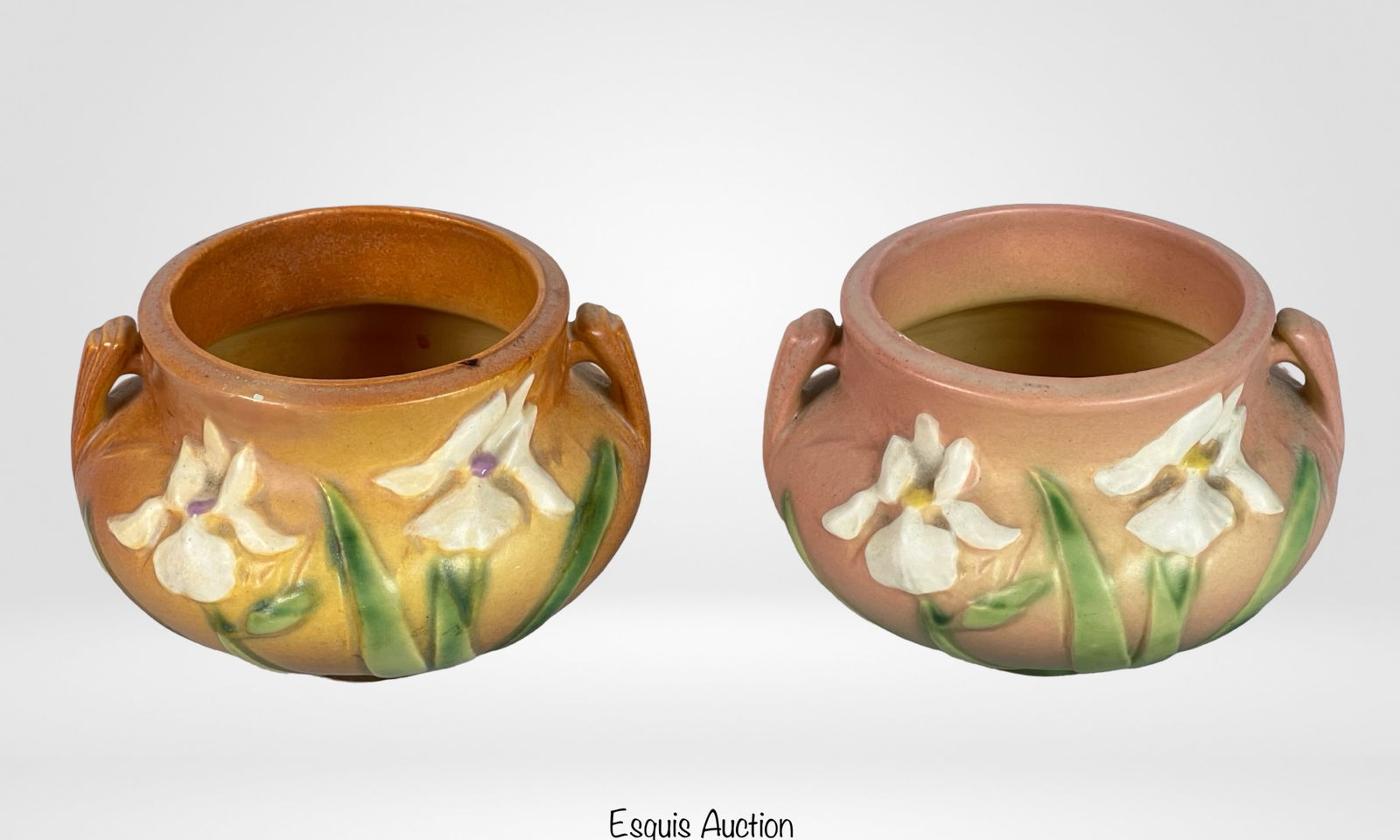 Pair of Roseville Pottery Iris Pattern Bowls (1 of 6)