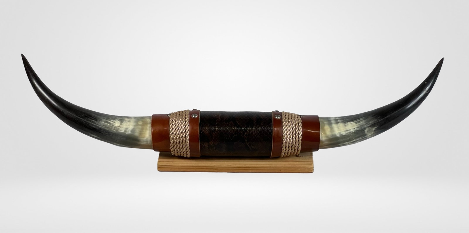 Large Mounted Steer Cow Bull Longhorn Taxidermy (1 of 3)