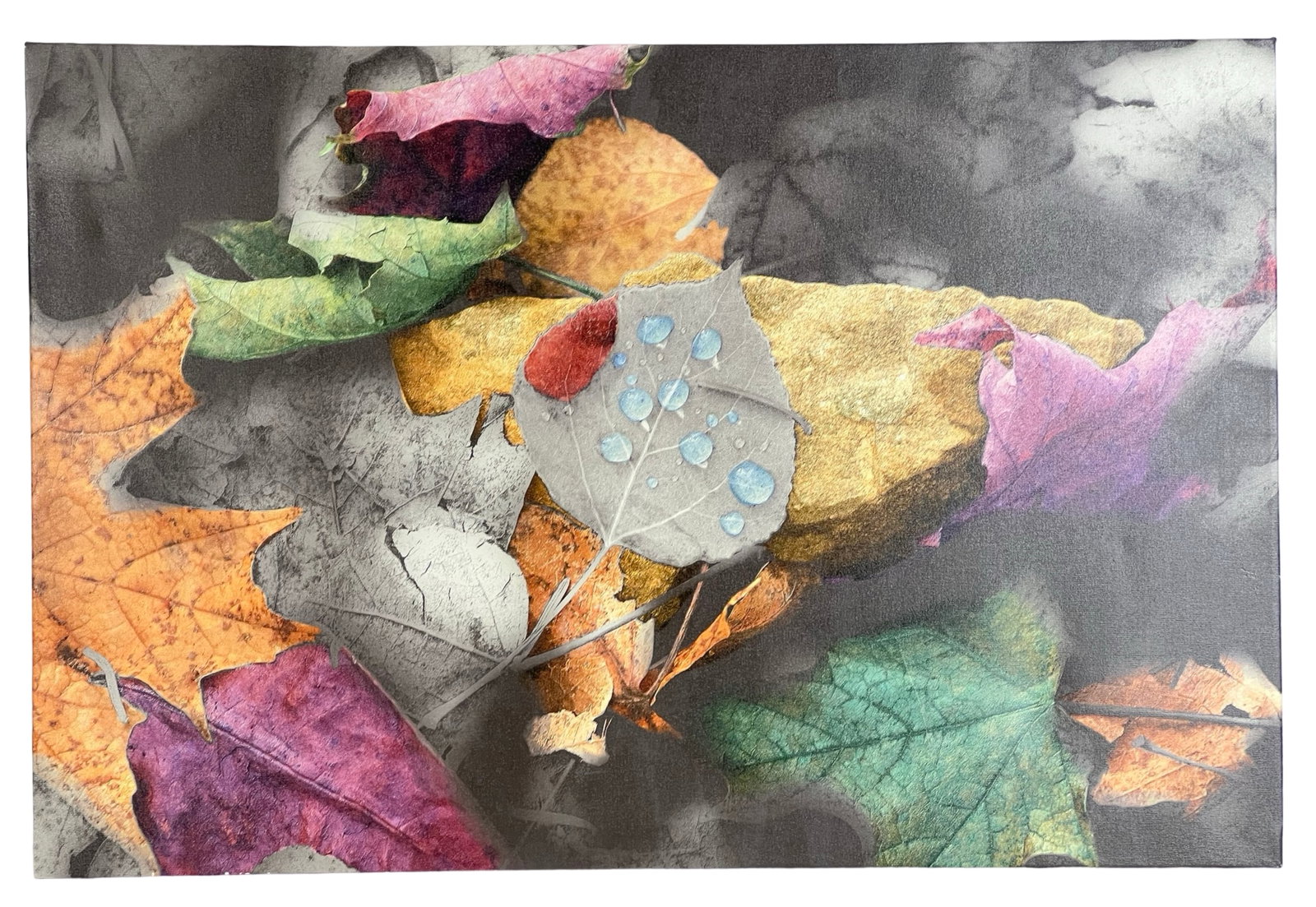 Roderick Holloway LE Autumn Contemporary Art: Limited edition canvas giclee by Roderick Holloway, signed and dated 2004 on the edge. This vibrant depiction of colorful autumn leaves features delicate water droplets on a single leaf. Numbered 3/20