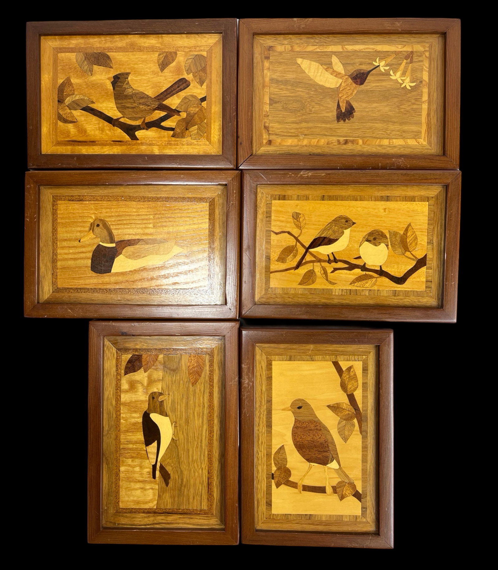 Set of 6 Muniz Marquetry Wooden Bird Art Plaques: A captivating set of 6 marquetry wooden plaques featuring intricate bird designs by Muniz. Each plaque measures 10" x 7" and showcases various birds perched on branches, finely crafted using different