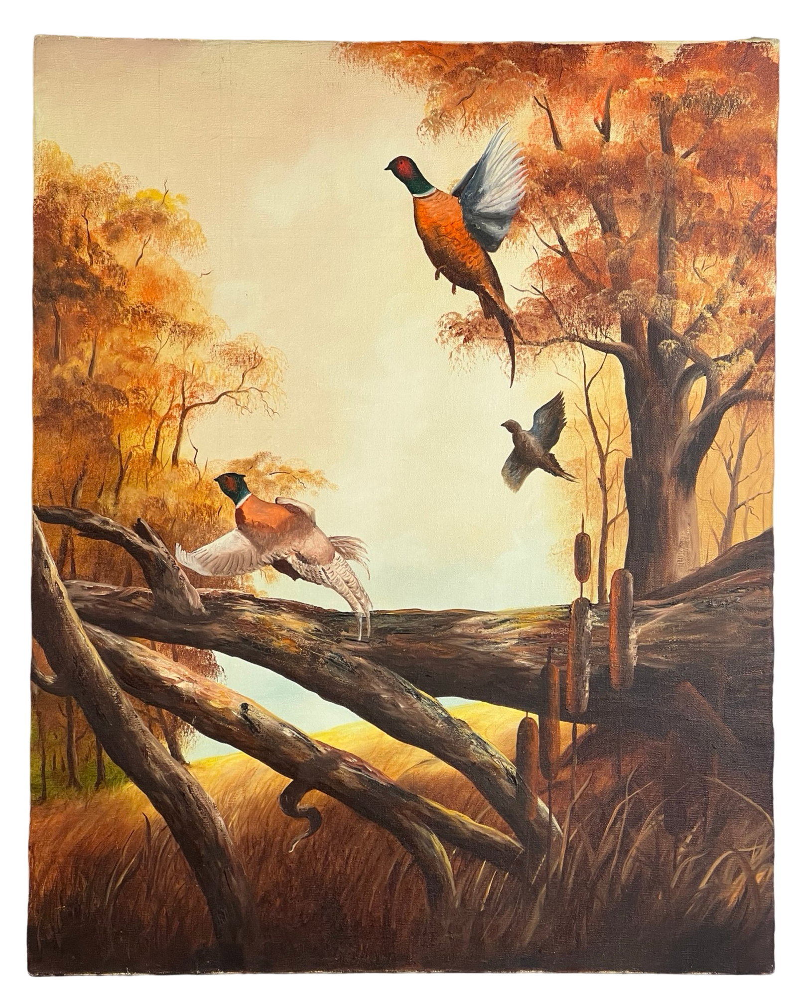 Flying Pheasants Oil Painting: Flying Pheasants Oil Painting on Canvas. 30" x 24" unframed.