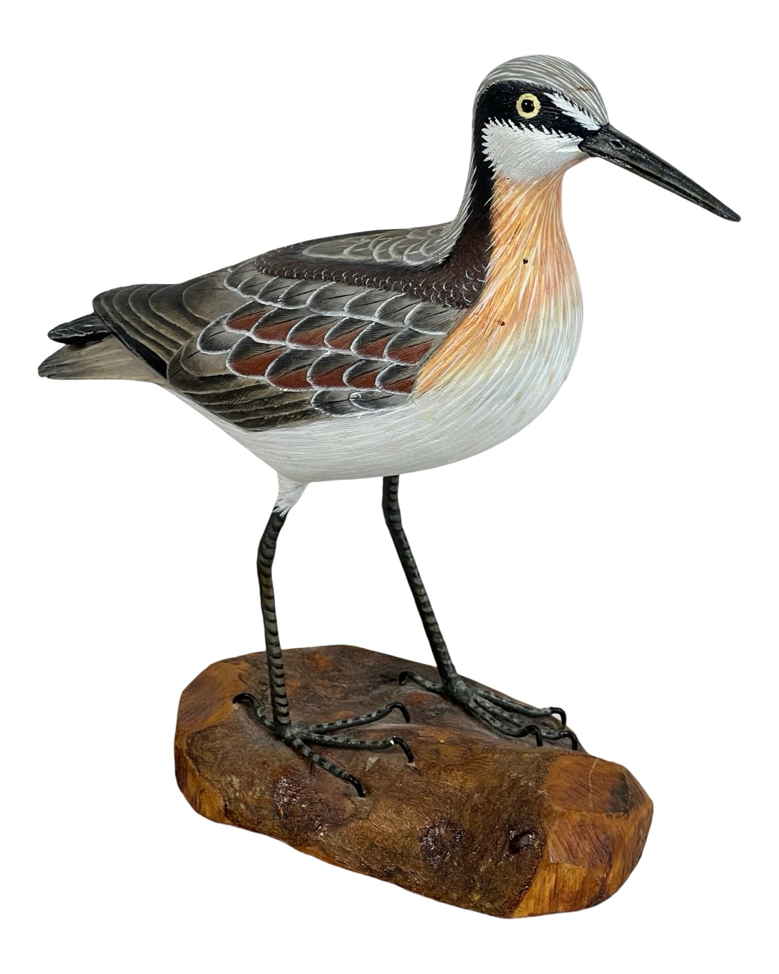 Wilson's Phalarope Wood Carved Bird Sculpture: This highly detailed Wilson's Phalarope sculpture showcases exceptional craftsmanship, skillfully carved from wood and meticulously hand-painted to capture the natural beauty of the bird's plumage. It