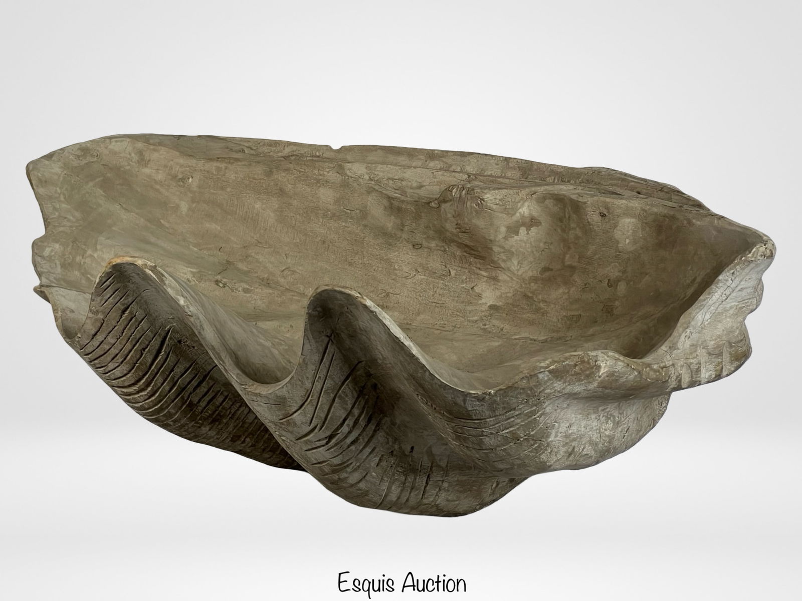 Giant 28"  Sea Clam Shell Woodcarved Bowl (1 of 5)