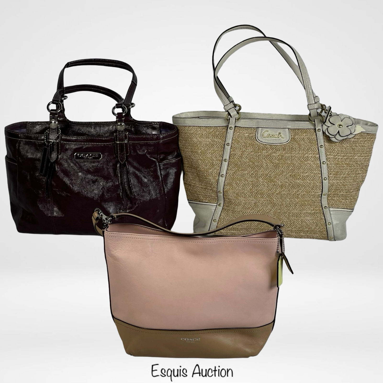 Coach Handbag Trio (1 of 7)