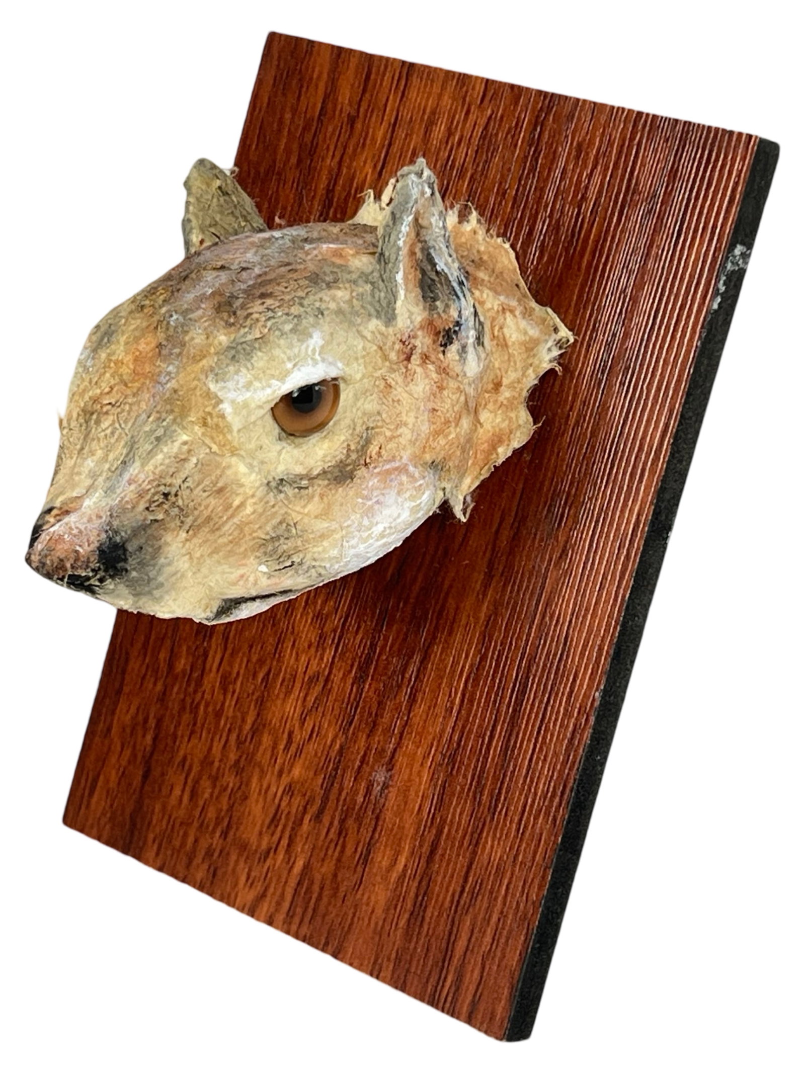 rin Cramer - "Squirrel Head" Cast Paper Sculpture (1 of 6)