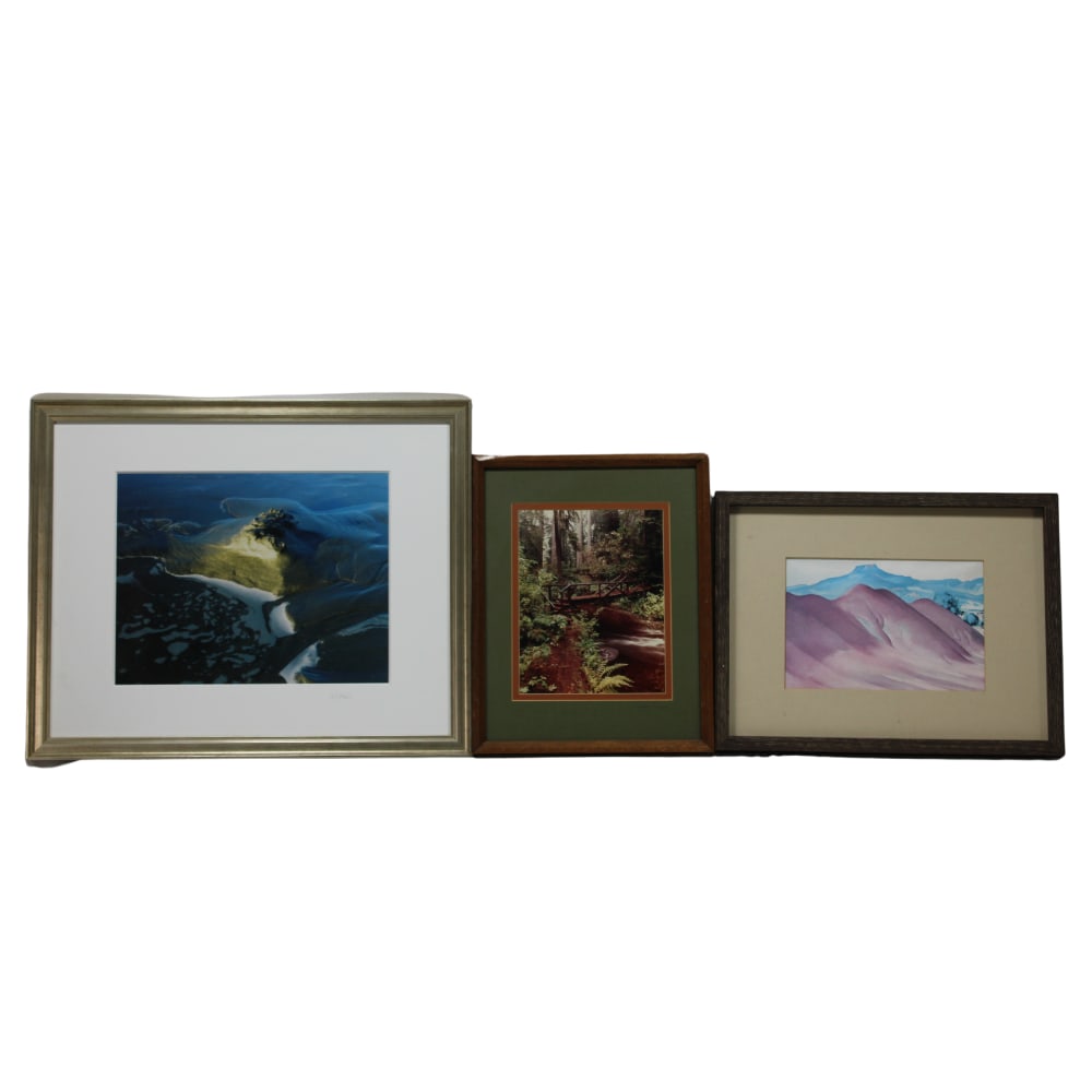 Set of 3 Framed Art Prints & Photography Landscape and Nature Scenes (1 of 3)
