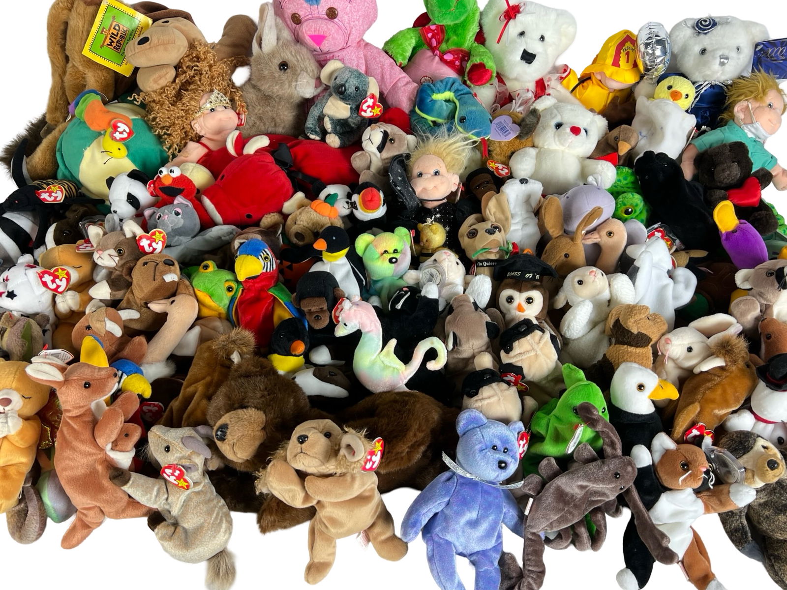 Large Collection of TY Beanie Babies and Soft Toys (1 of 4)