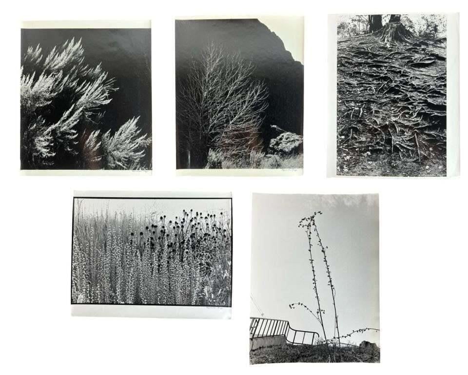 Algimantas Kezys -5 Hand Signed Art Photographs (1 of 14)