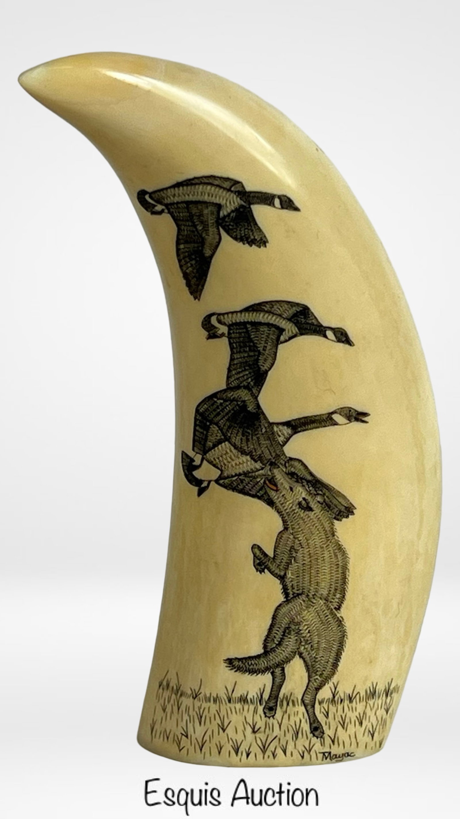 Scrimshaw Carved Whale Tooth by Peter Mayac: Exceptional hand-engraved scrimshaw on whale tooth by Peter Mayac, a celebrated Inupiaq artist from King Island, Alaska. This powerful scene depicts a wolf mid-leap, attempting to strike a flock of ge