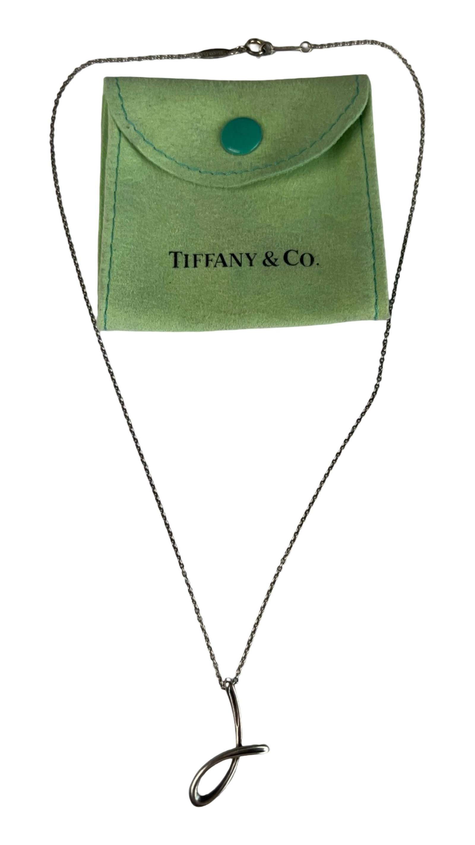 Tiffany & Co Elsa Peretti Sterling Silver Necklace (1 of 4)
