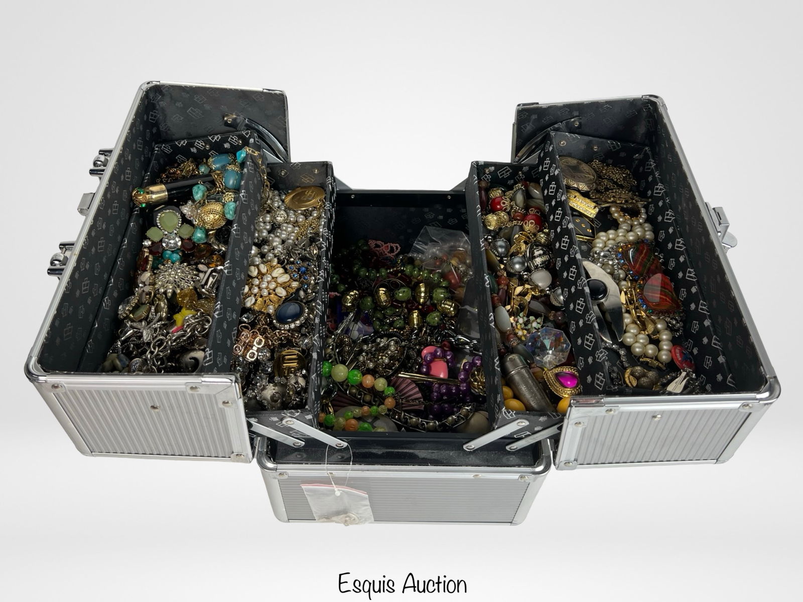 Jewelry Train Case Filled with Unsearched Jewelry (1 of 5)