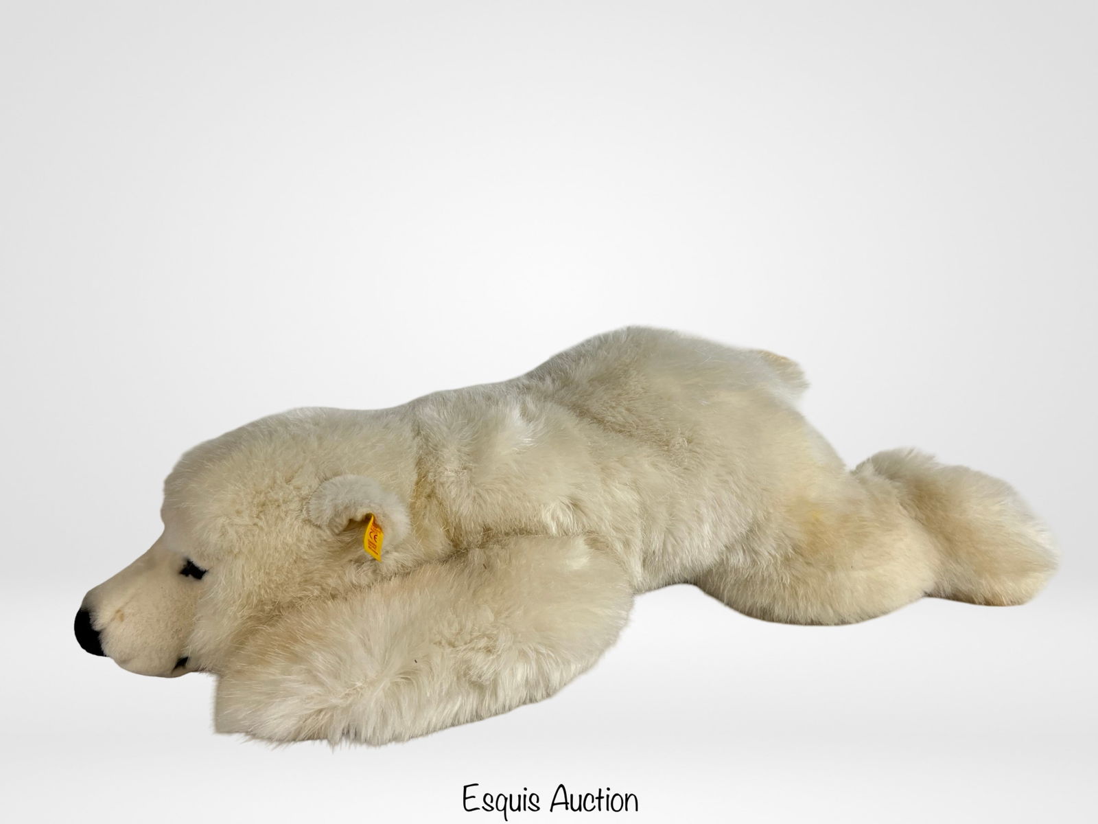 シュタイフ POLAR THE TITANIC BEAR Polar the Titanic Bear: Stone Spedden, Daisy Corning, McGaw