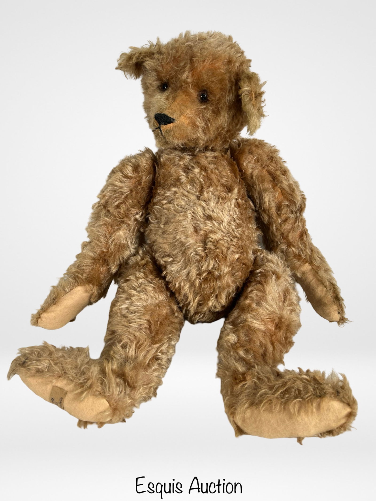 Artist-Made Teddy Bear "Plato" - Signed 24" (1 of 4)