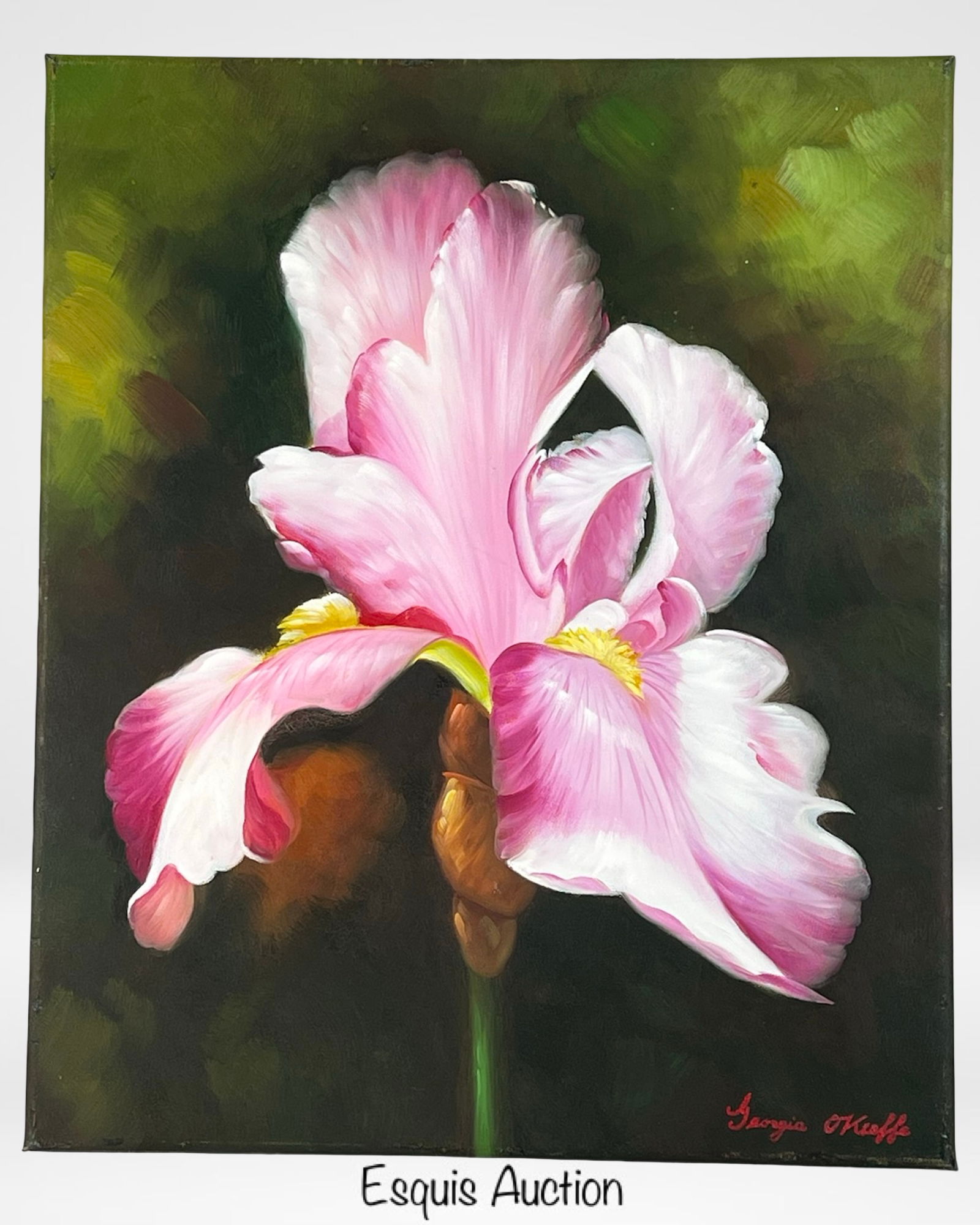 Georgia O'Keeffe (manner) - Pink Iris Bloom (1 of 3)