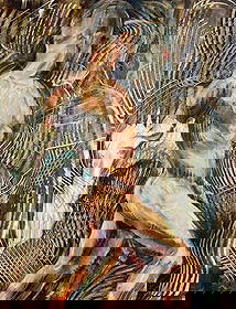 Oksana Grineva- Male Nude Expressionist Painting: Original oil on canvas by Ukrainian-American artist Oksana Grineva, depicting a dynamic male nude in mid-motion. The figure is painted with expressive brushwork and sculptural anatomy, set against a r