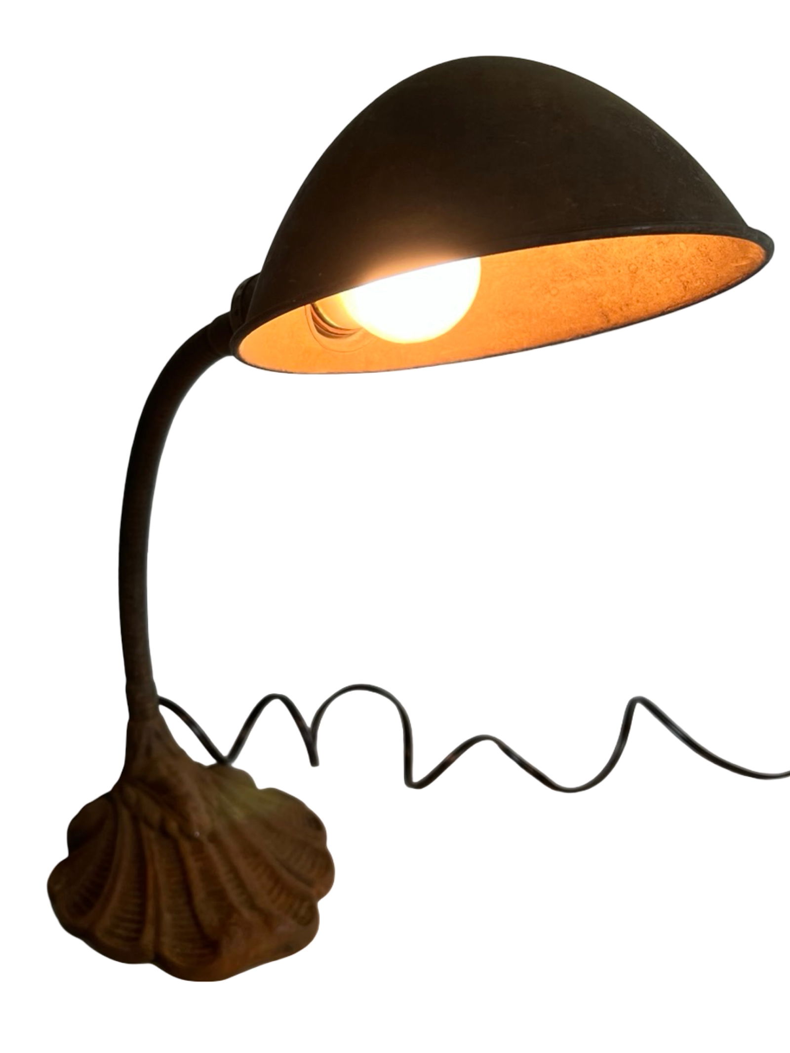 Art Deco Era Aladdin Cast Iron Gooseneck Desk Lamp (1 of 6)