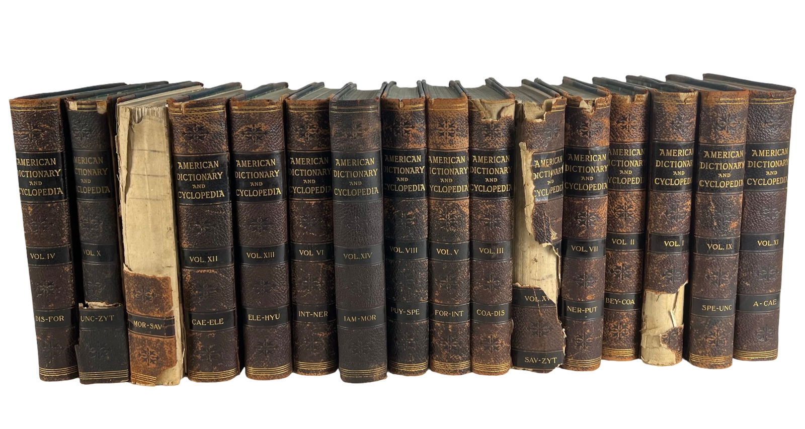1900 "American Dictionary & Cyclopedia" - 16 V Set (1 of 3)