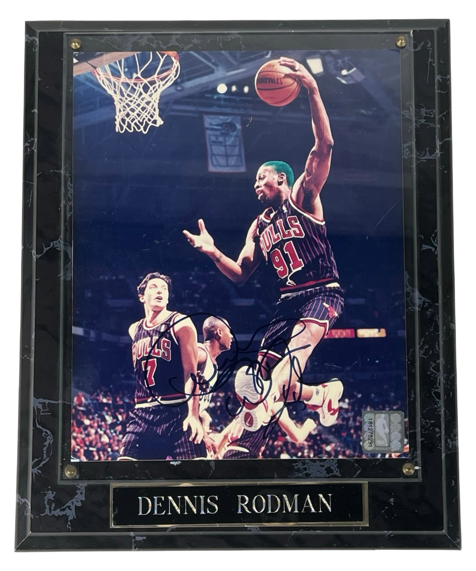 Dennis Rodman Autographed Chicago Bulls Photo: Dynamic signed photograph of Chicago Bulls legend Dennis Rodman in mid-air action, mounted on a glossy black marble-style wooden plaque with a nameplate. Bold autograph displayed prominently across th