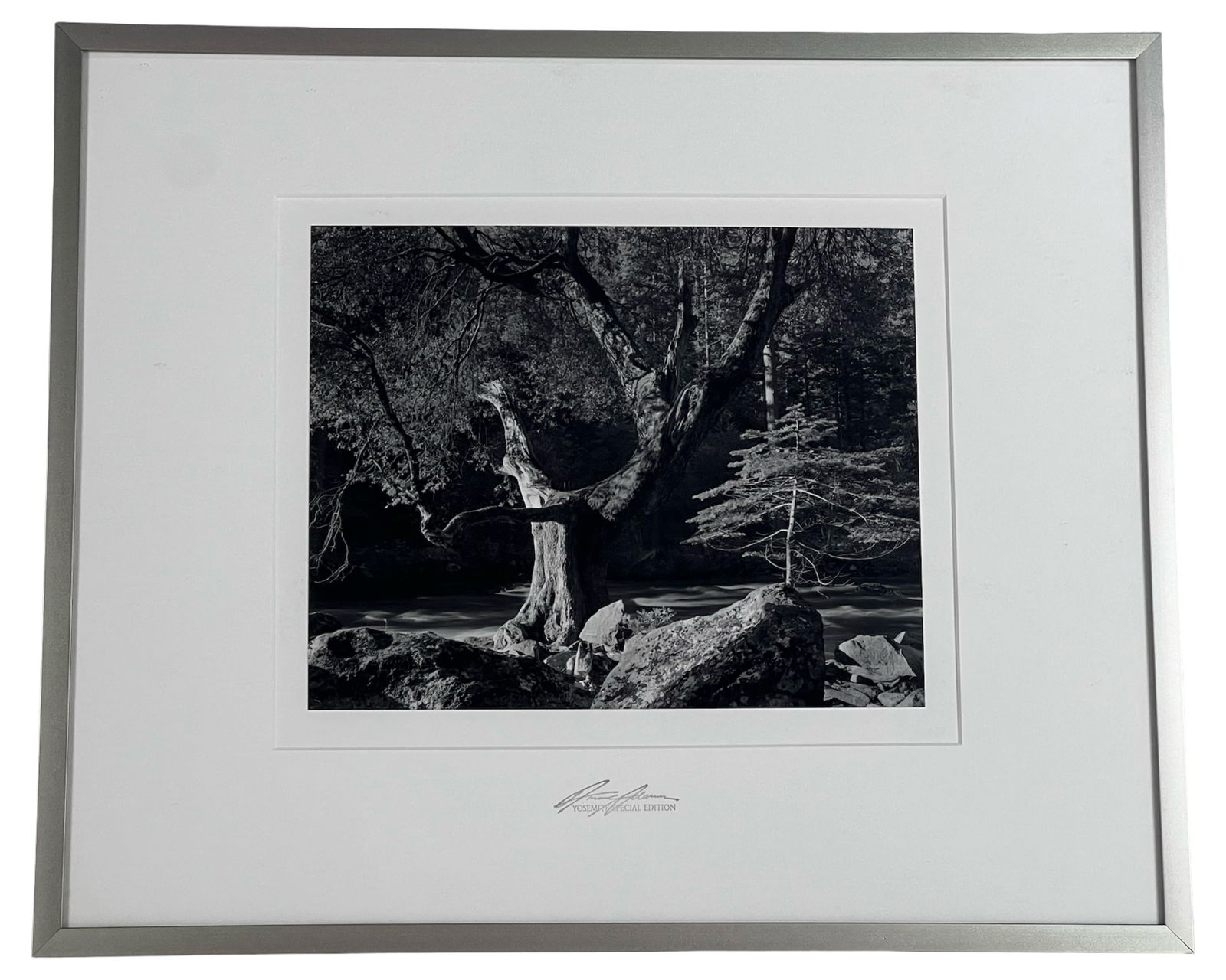 Ansel Adams Yosemite Special Edition Photograph (1 of 4)
