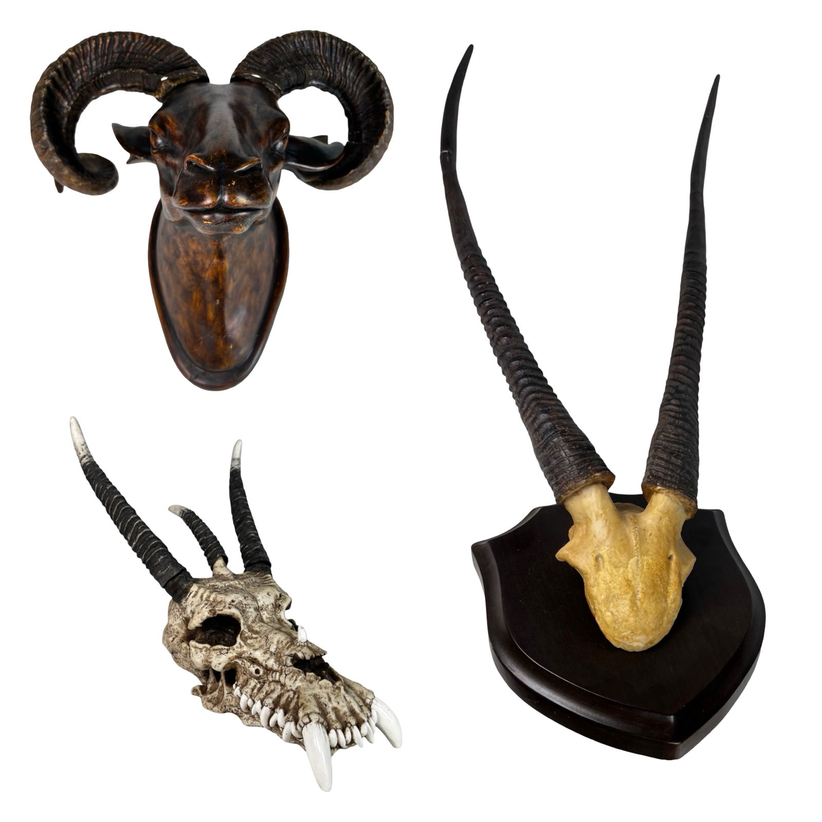 Large Decorative Horned Skull & Ram Head Wall De (1 of 8)