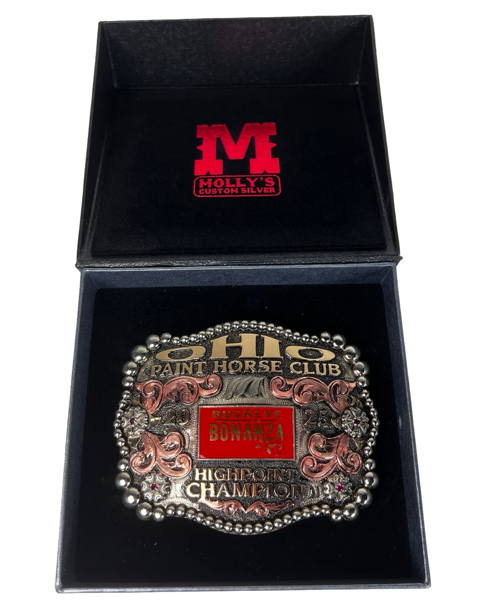 Molly's  Ohio Paint Horse Champion Belt  Buckle (1 of 4)