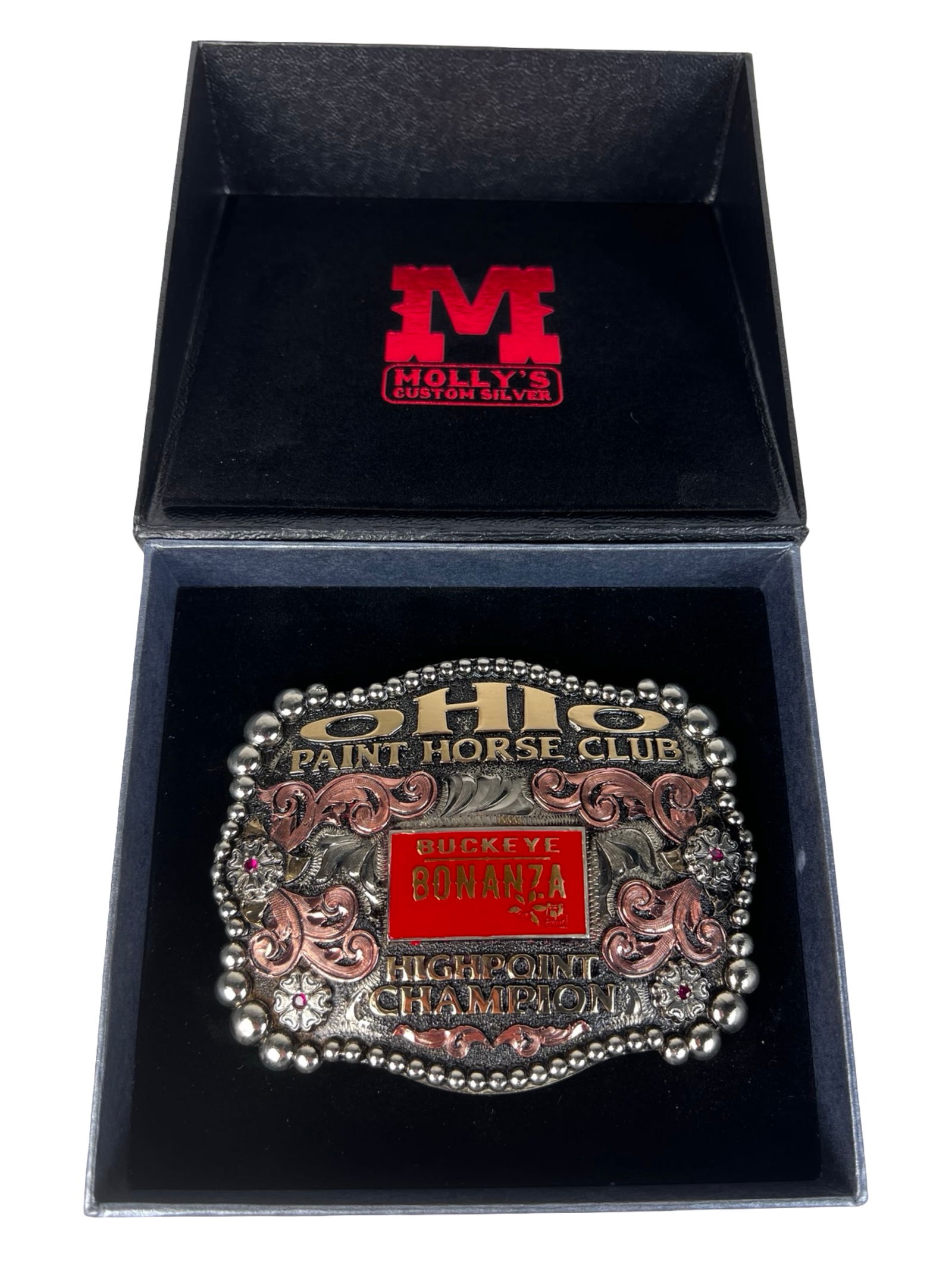 Molly's Ohio Paint Horse Champion Belt Buckle (1 of 4)