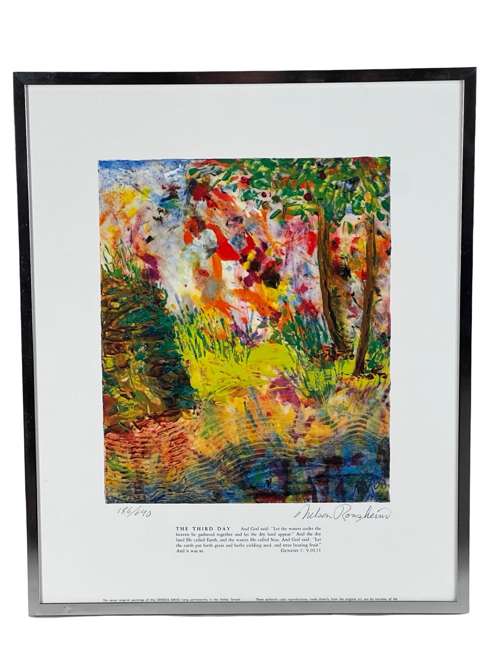 Nelson Ronsheim "Genesis Series" - Signed Lithos - 14