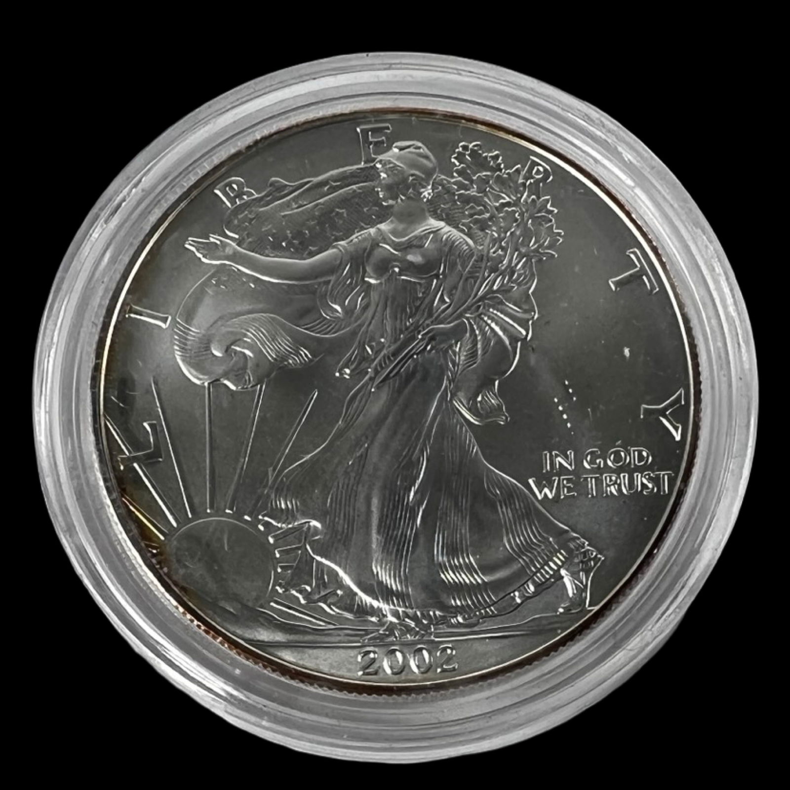 2002 American Silver Eagle Dollar Coin: 2002 American Silver Eagle Dollar Coin.