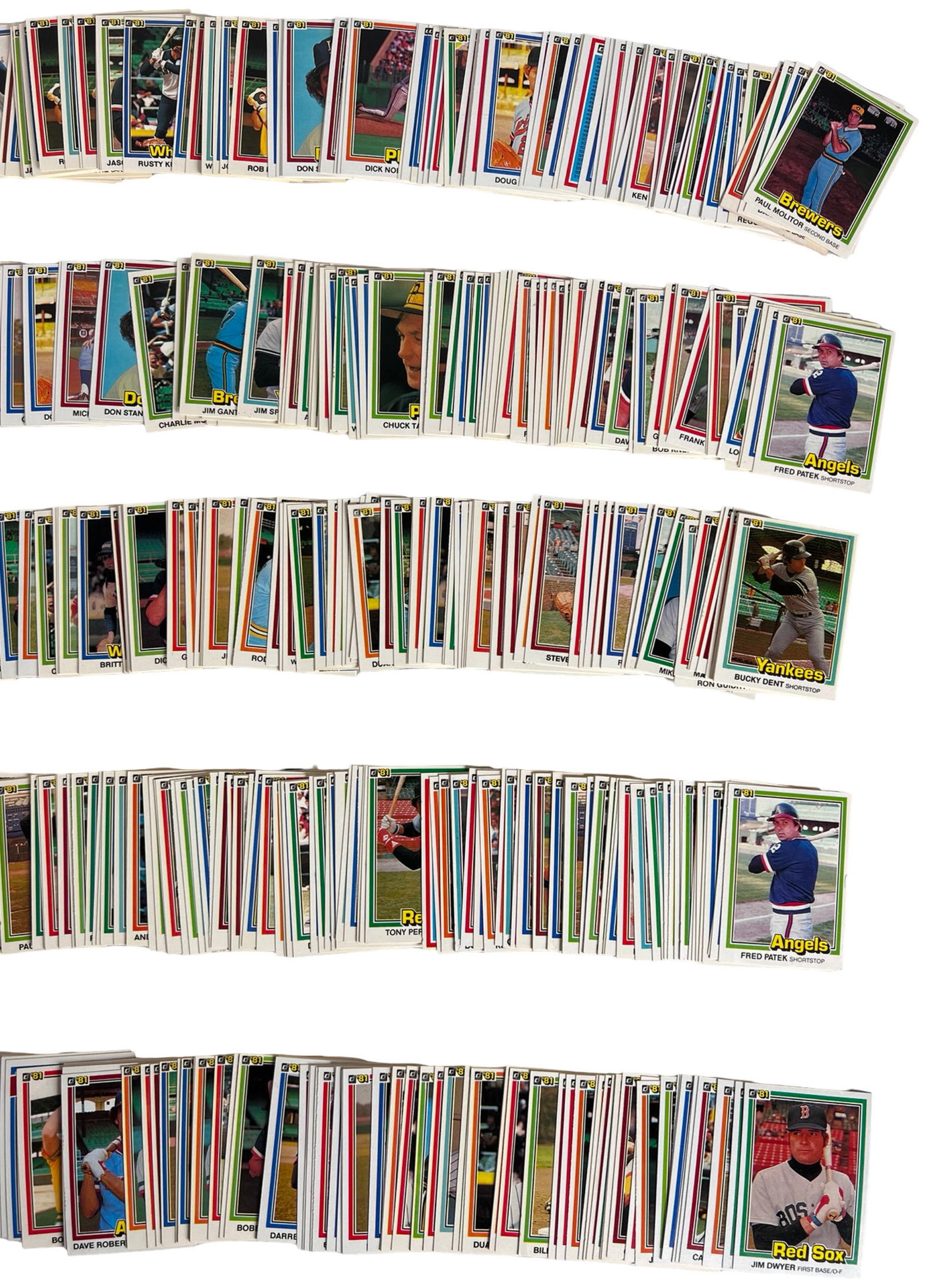 1981 Donruss Baseball Card Collection - 2