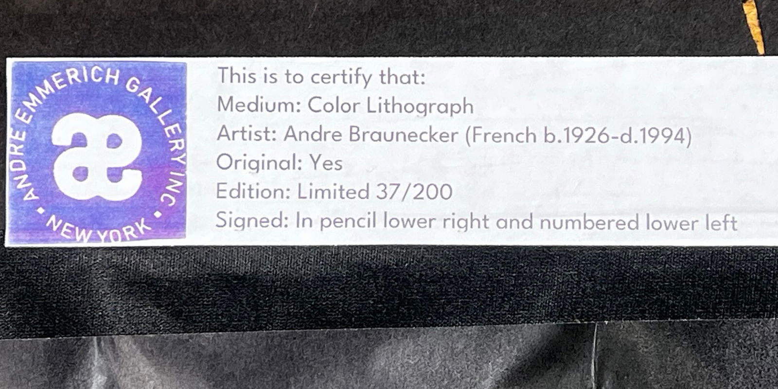 Andre Braunecker - LE Signed Portrait Lithograph - 5