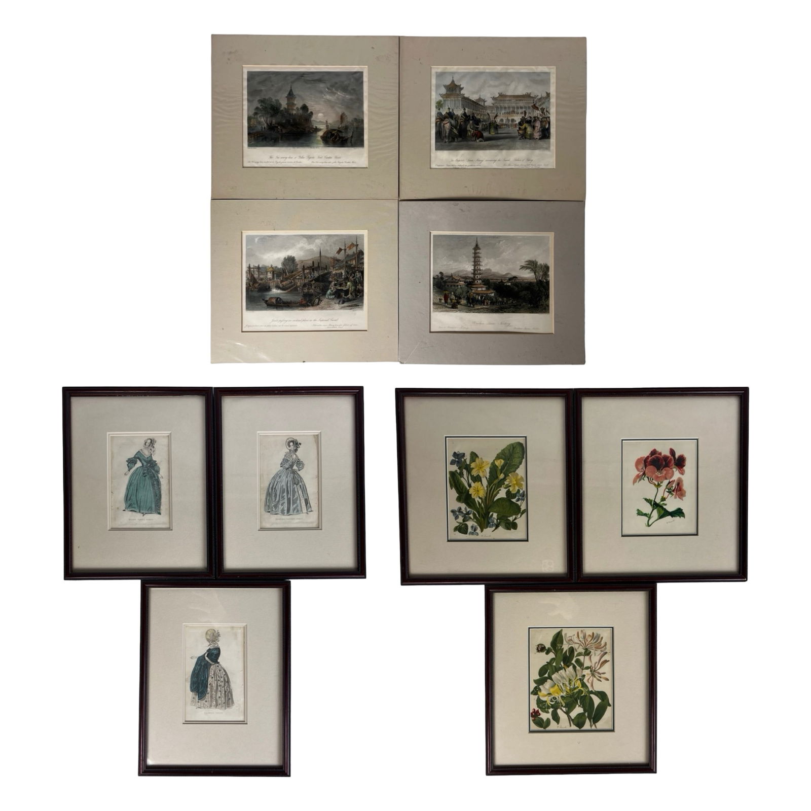 Antique Hand-Colored Engravings & Botanical Prints (1 of 8)